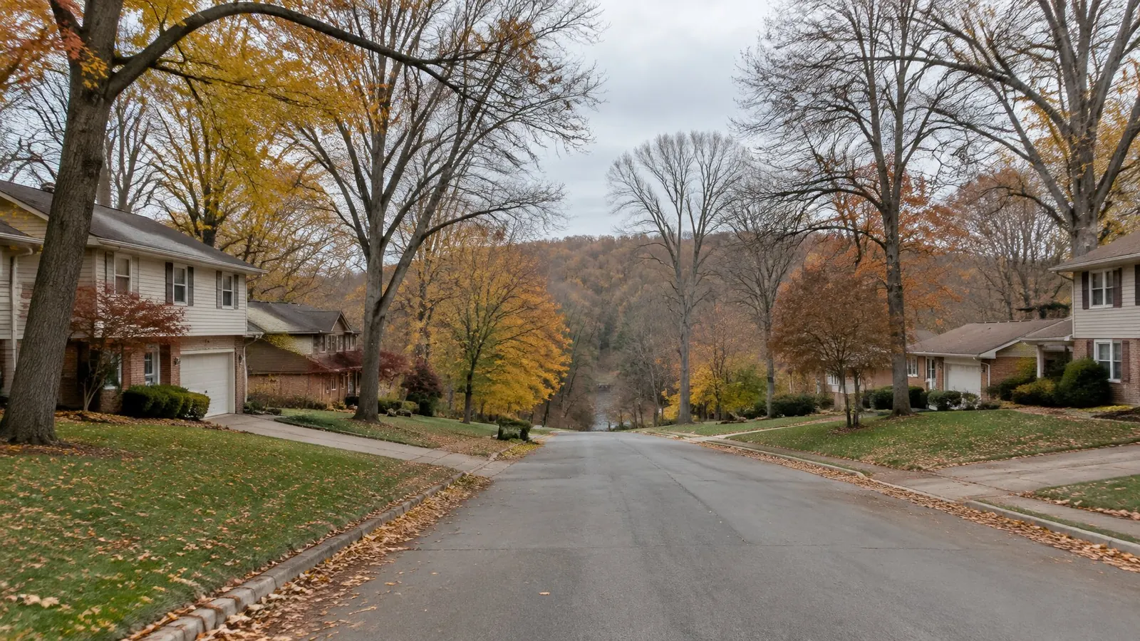 Split-level and two-story homes on a wooded street sloping toward a creek valley